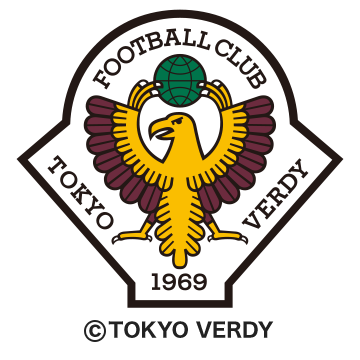 toyo verdy